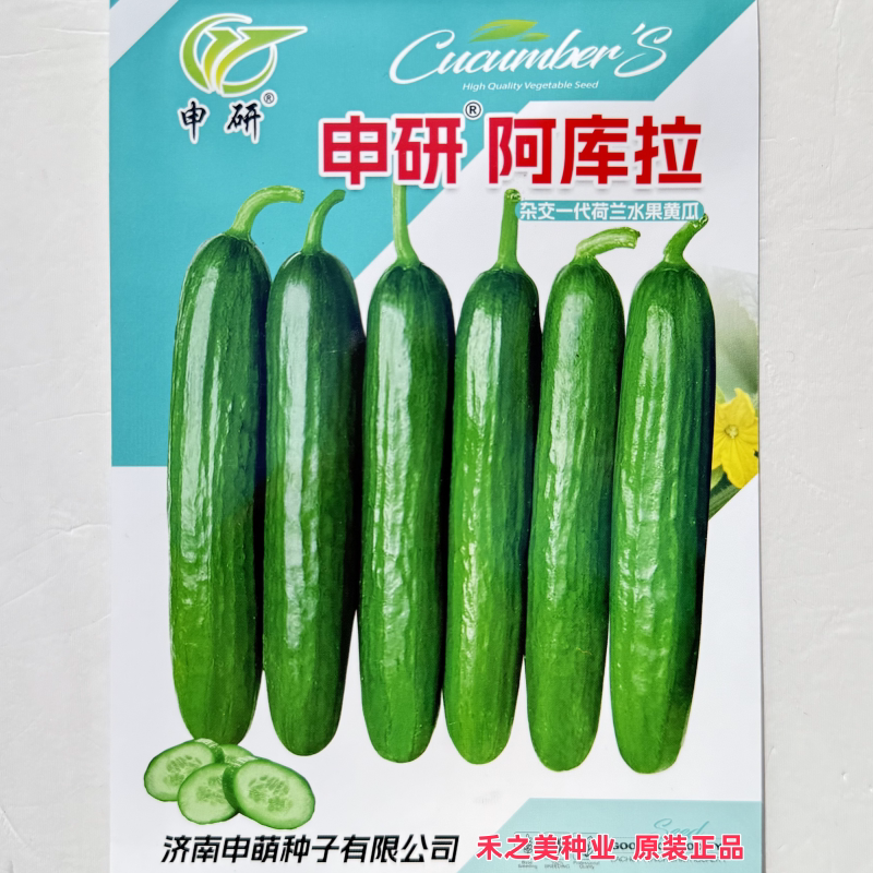 申研阿库拉水果黄瓜种子无刺小黄瓜旱黄瓜籽四季青瓜阳台庭院播种
