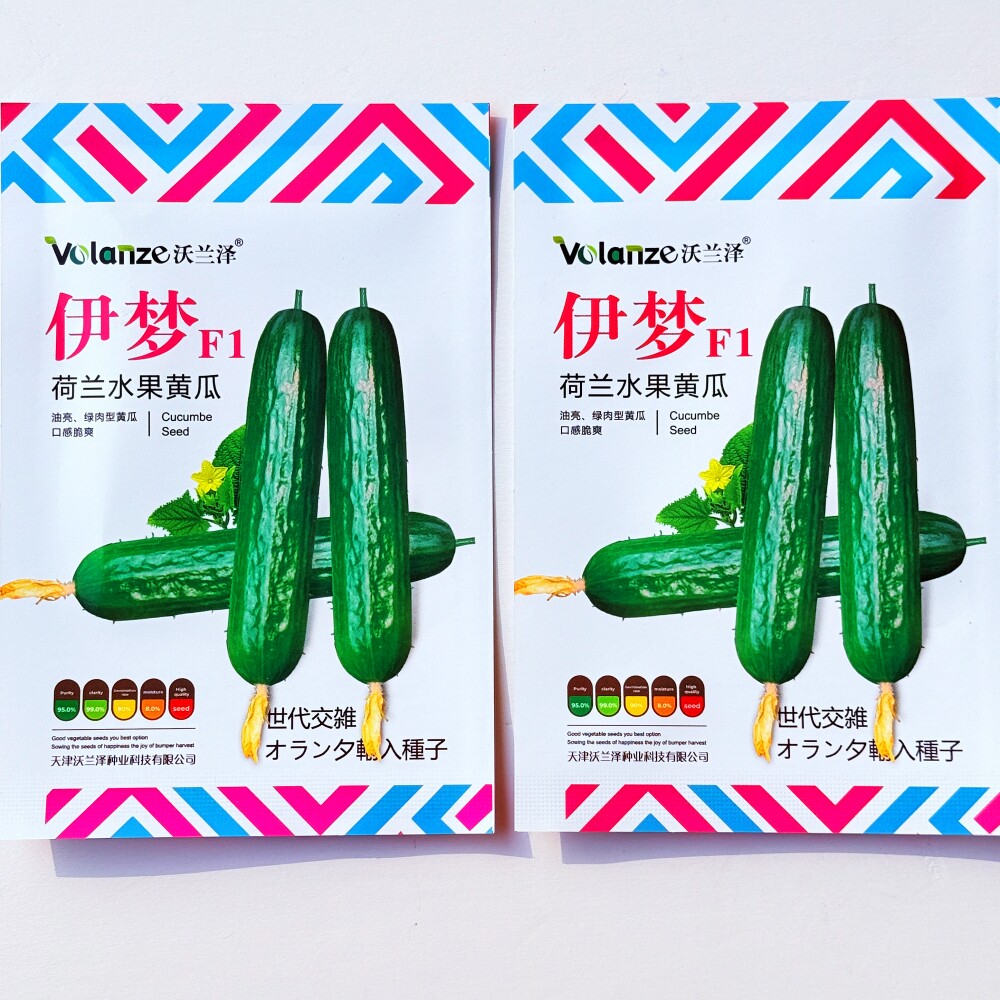 伊梦荷兰水果黄瓜种子抗病高产节节有瓜杂交早熟甜脆小黄瓜种籽孑