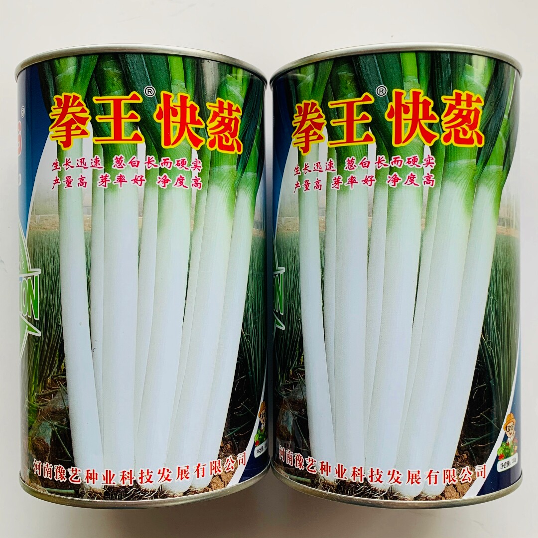 豫艺拳王快葱种子大棵高产大葱种籽农家大田基地春秋季播蔬菜种孑