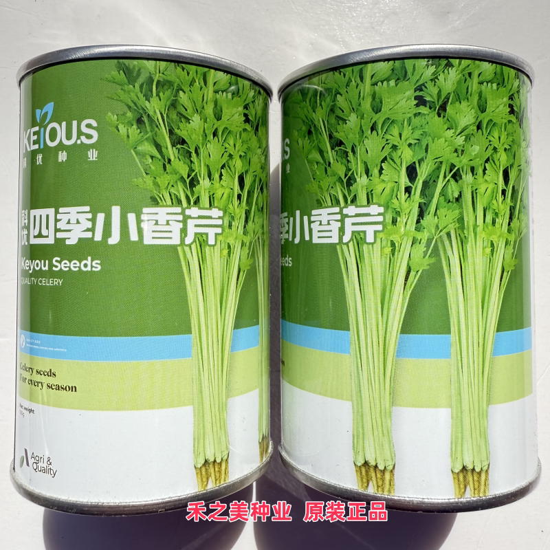 科优四季小香芹种子抗病耐热耐寒小芹菜种籽农家春夏秋季播蔬菜种