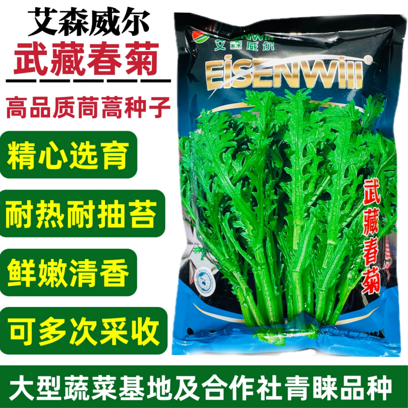 武藏春菊茼蒿菜种子清香脆嫩中叶茼蒿种籽皇帝菜种子耐热基地专用