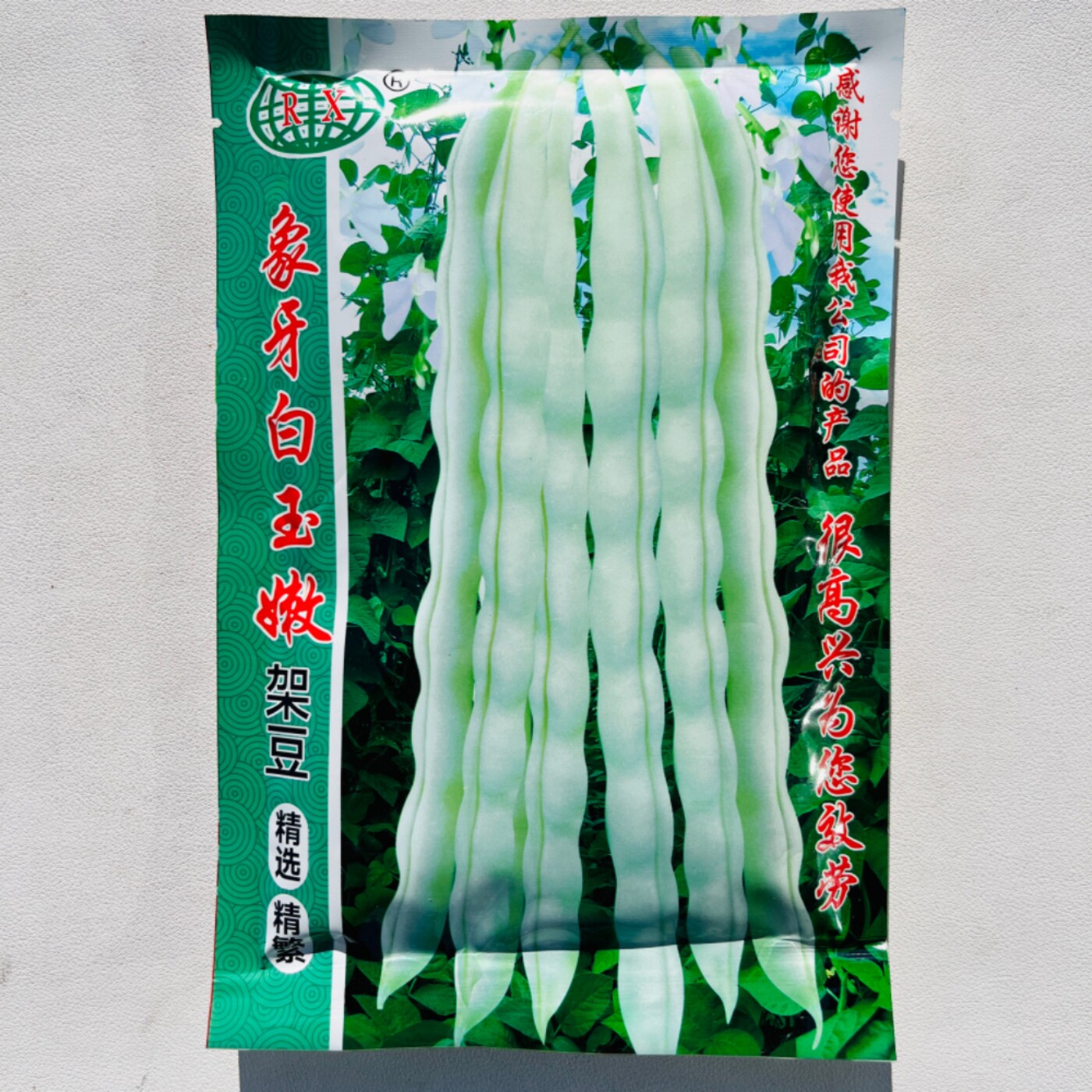 万帮象牙白玉嫩架豆种子早熟耐老化无纤维四季豆芸豆种籽春秋季播