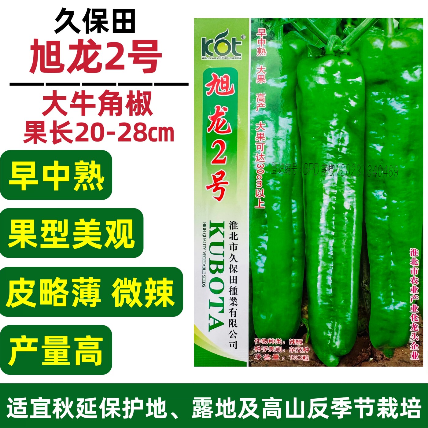 久保田旭龙2号牛角椒种子中早熟特大果辣椒种子高产粗长牛角椒籽