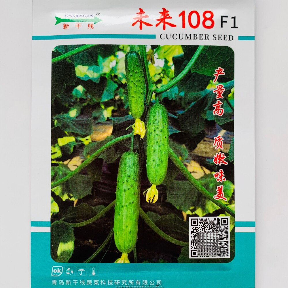 未来108黄瓜种籽 青岛新干线全雌油亮水果旱黄瓜种子大刺口感黄瓜