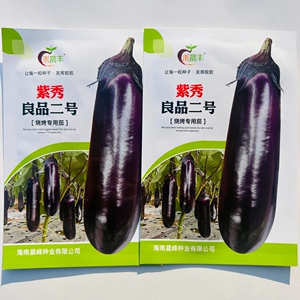 紫秀良品二号茄子种子中熟白肉深紫红皮烧烤茄种籽大田基地春秋播