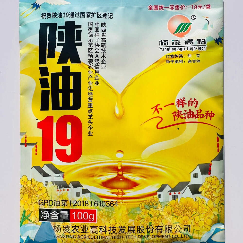 陕油19油菜种籽种子杂交甘蓝型油菜花种籽抗裂抗倒大田基地秋季播