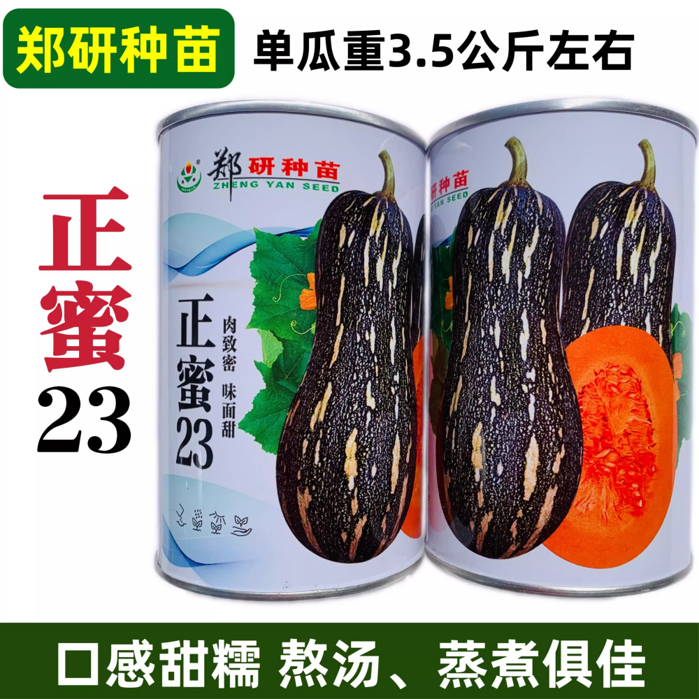 郑研种苗正蜜23蜜本南瓜种子味面甜杂交一代南瓜种籽甜糯南瓜春秋