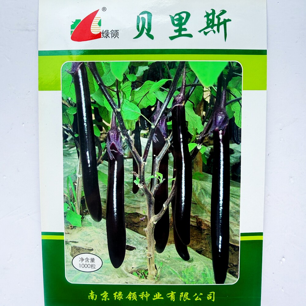 绿领贝里斯长茄种子高产早熟皮薄耐老紫黑皮长茄子种籽春秋季播种