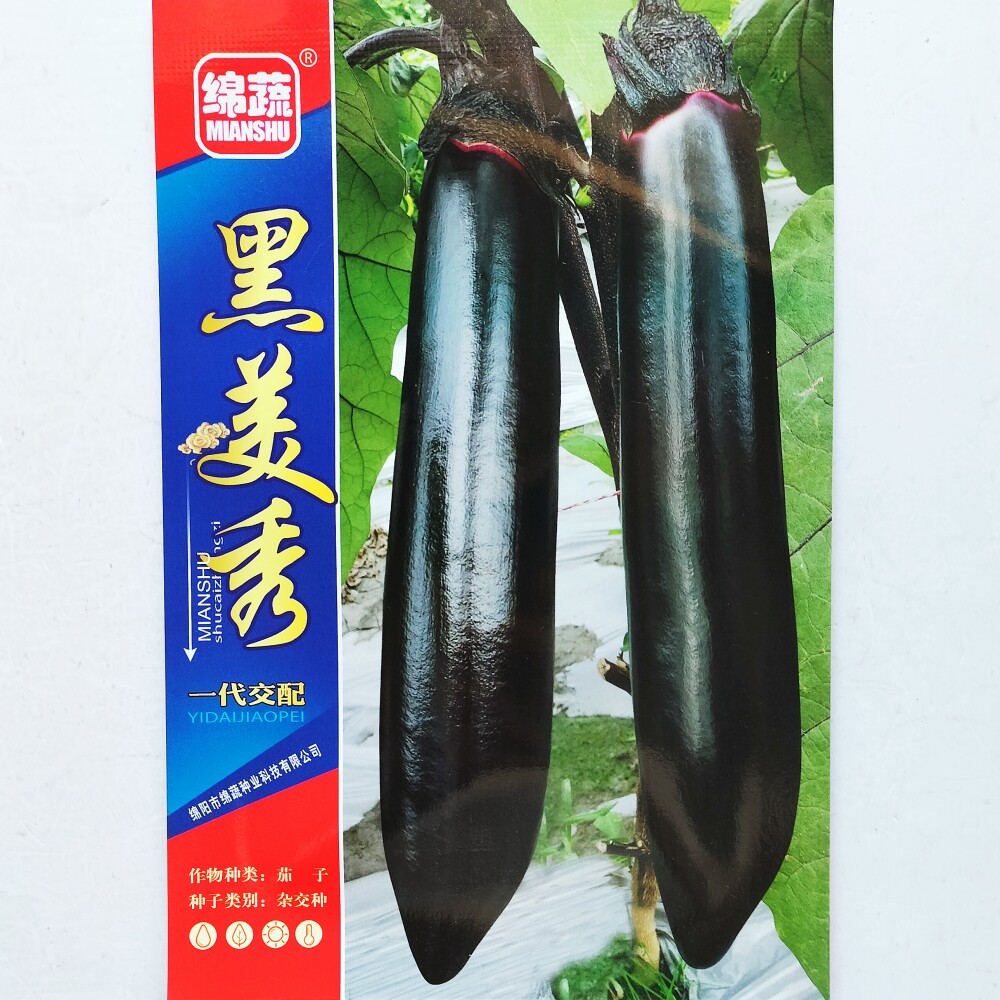 绵蔬黑美秀黑亮茄子种子杂交早熟长棒茄种籽农家春秋季播蔬菜种孑