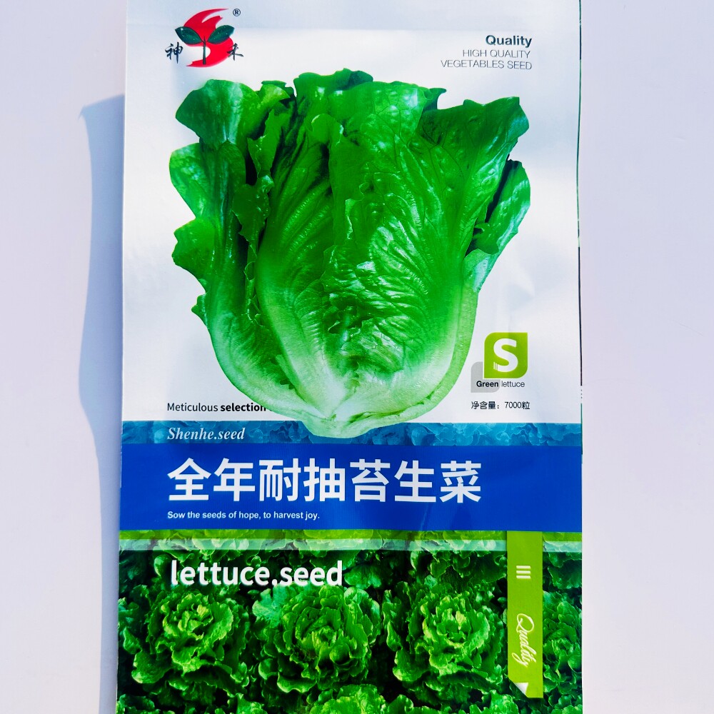 神禾全年耐抽苔生菜种子 脆甜味美无苦味抗病耐热耐寒蔬菜种籽孑