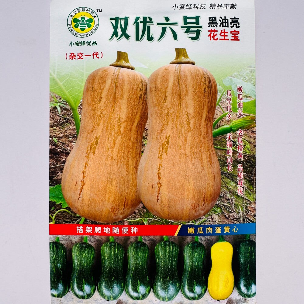 双优六号黑油亮花生南瓜种子嫩瓜油亮老瓜橙黄杂交早熟南瓜种籽孑