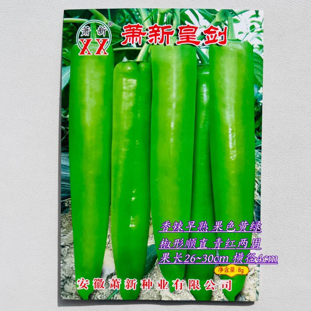 萧新皇剑青黄皮辣椒种籽种子香辣早熟口感好春秋季育苗播蔬菜种孑