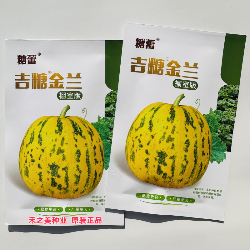 吉糖金兰香瓜种子特甜八里香甜瓜种籽花皮绿肉干瓤高糖甜脆耐运输