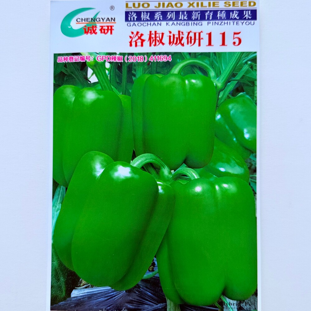 洛椒诚研115灯笼椒种子杂交早熟翠绿甜椒菜椒种籽农家春秋季播种