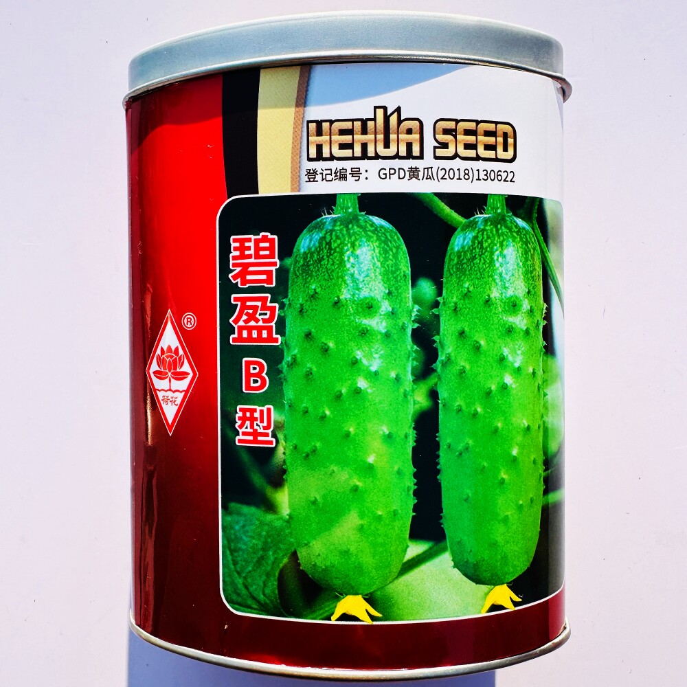 碧盈B型水果黄瓜种子 翠绿皮口感好黄瓜种籽 大田基地春夏秋季播