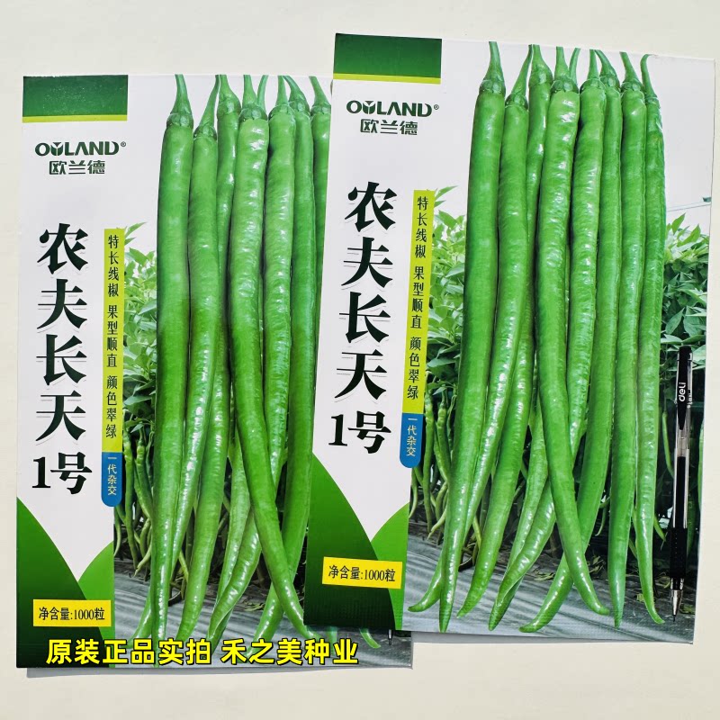 欧兰德农夫长天一号长线椒辣椒种子杂交早熟中辣皮薄肉嫩顺直高产