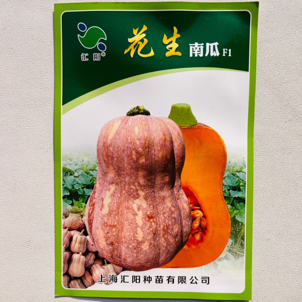 汇阳花生南瓜种子早中熟肉厚香甜脆口感好小南瓜种籽春秋季播蔬菜