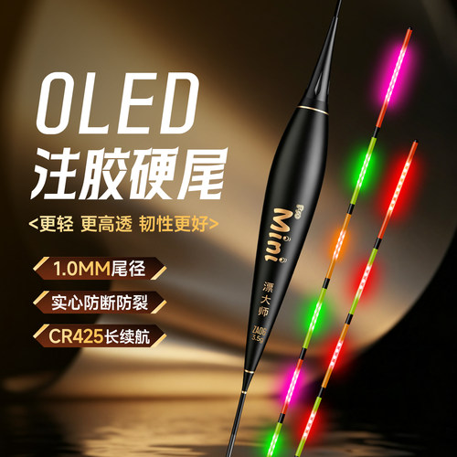 【双排LED】咬钩变色夜光漂黑坑行程浮漂LED硬尾鲫鱼漂日夜两用标