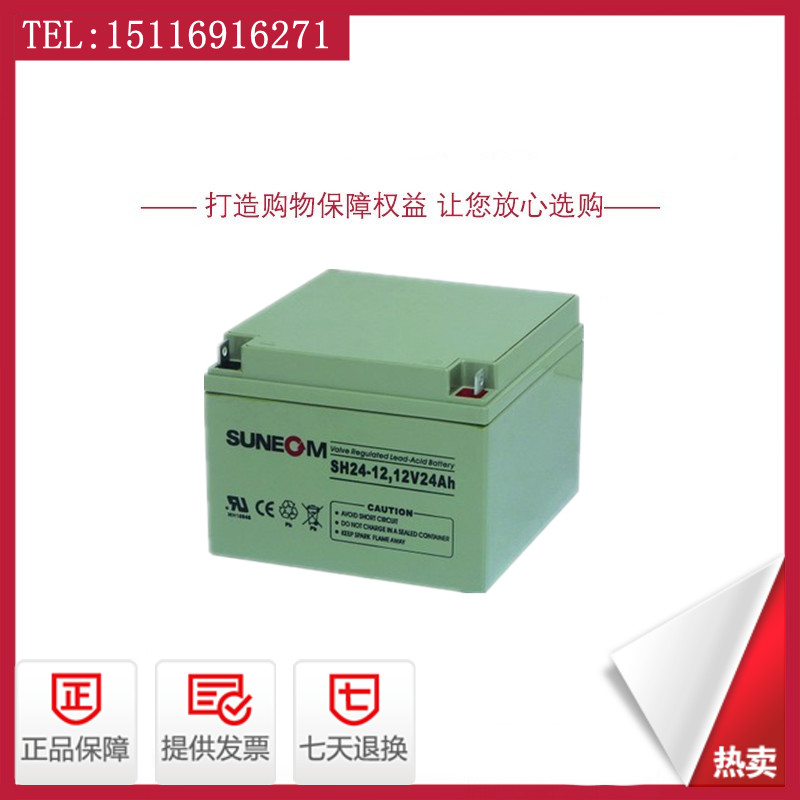 XINNENG SUNEOM 배터리 SH24-1212V24AH38AH65AH100AH120A DC 스크린 UPS 배터리