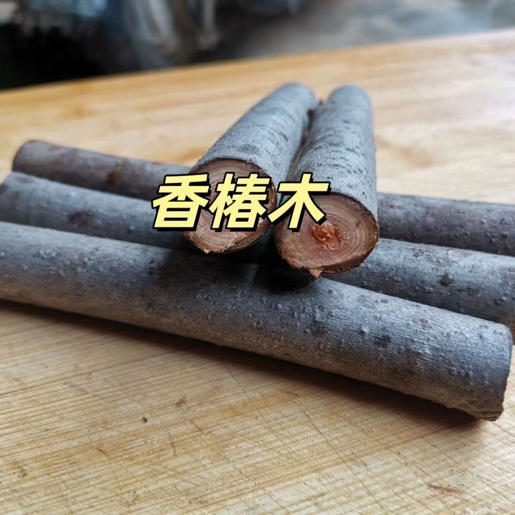 【70cm*6根】香椿木原木干花落地复古装饰底座乔迁之喜结婚用新年