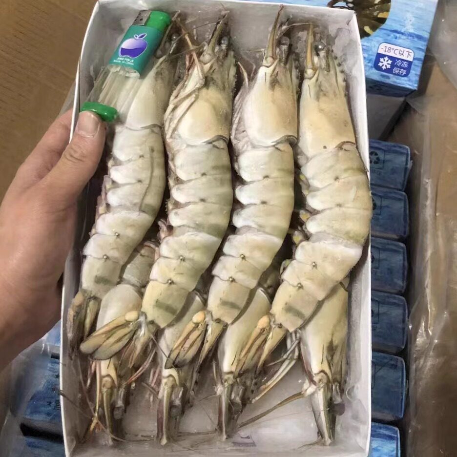 6头8头15头黑虎虾大虾生冻超大越南老虎虾特大竹节虾斑节九节