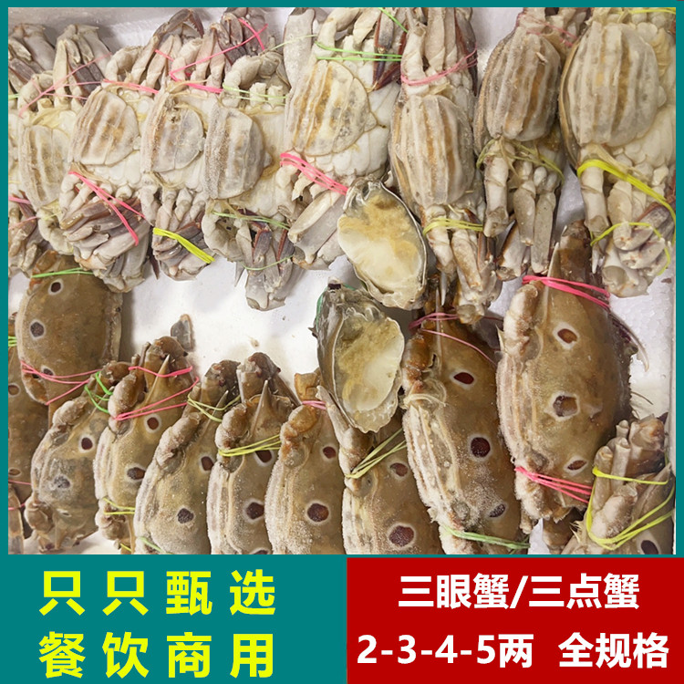 6斤三眼蟹三点蟹船冻生腌捞汁海鲜公母随机梭子蟹肉蟹福建冷冻品