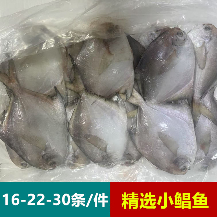 30条小鲳鱼大号白鲳鱼新鲜海鲜冷冻深海平鱼昌鱼新鲜冻品