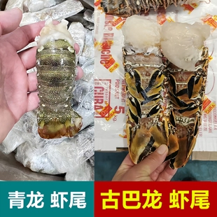 【小青龙虾尾/古巴龙虾】尾精选冷冻花龙虾澳洲大龙虾锦绣龙虾尾