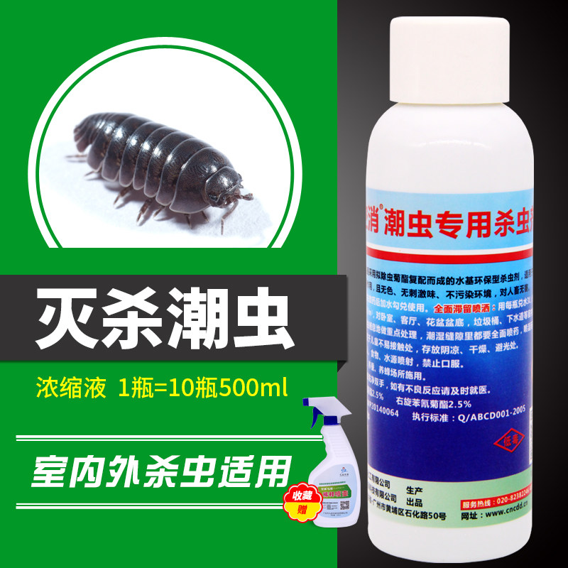 空消灭潮虫浓缩杀虫剂杀潮湿虫家用潮虫室内外消杀厕所潮湿虫鼠妇