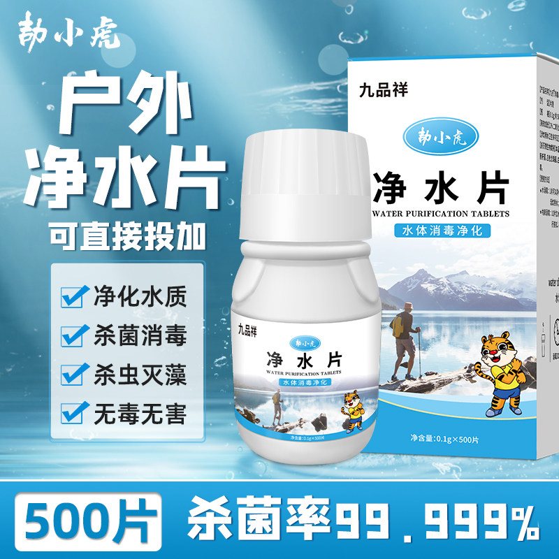 野外生存净水片饮水江湖山河水消毒杀菌直饮应急灾后备用消毒片剂