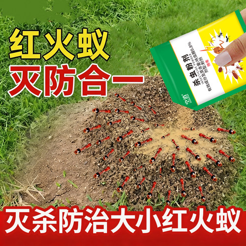 红火蚁药户外农用菜地专用杀蚂蚁家用室内呋虫胺杀虫饵剂灭蚁药
