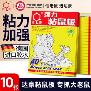 达豪老鼠粘强力粘鼠板胶粘大老鼠贴家用室内正品扑捉器灭捕鼠神器