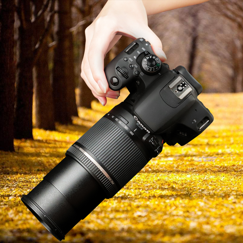 Canon/¼ÑÄÜ800D eos (18-55) ÕÕÏà»ú¼ÑÄܵ¥·´ÈëÃż¶Å®ÄÐ Ïà»úµ¥·´»ú ¸ßÇå ÊýÂë ÂÃÓÎ