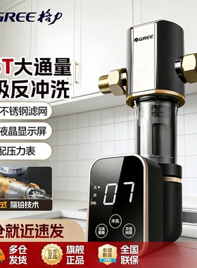 格力全屋自来水前置过滤器反冲洗家用大流量中央净水机WTE-QZBW14