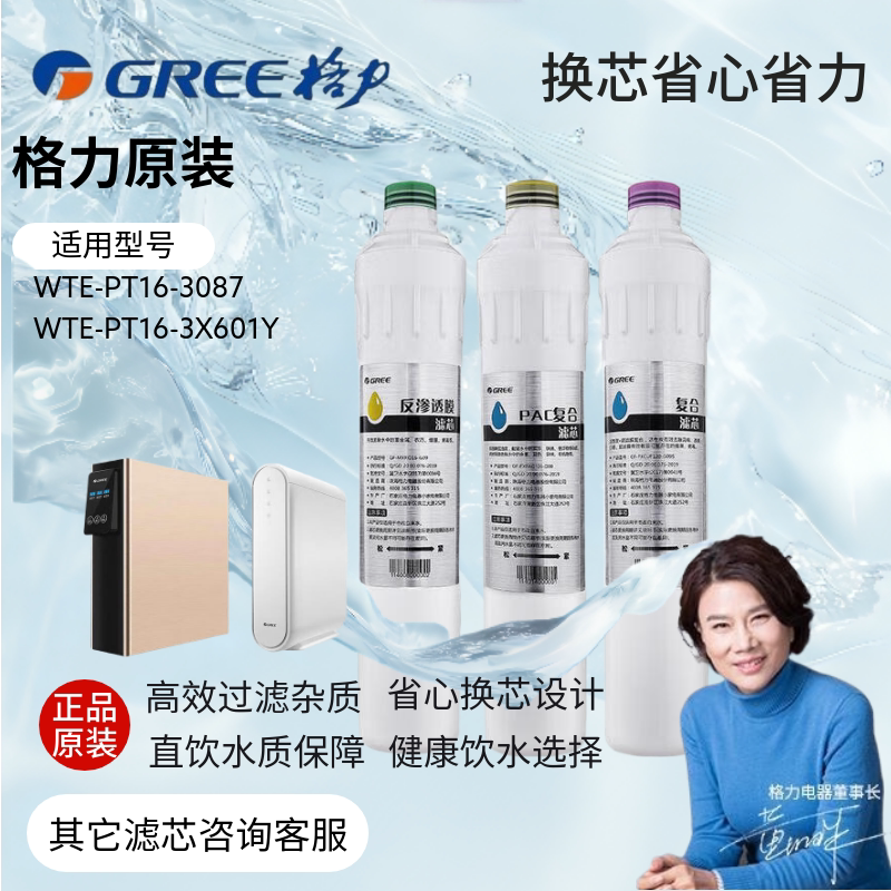 格力净水器滤芯WTE-PT16-3087/3X601Y/净饮一体机滤芯原装正品