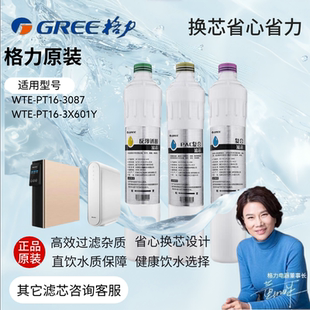 格力净水器滤芯WTE-PT16-3087/3X601Y/净饮一体机滤芯原装正品