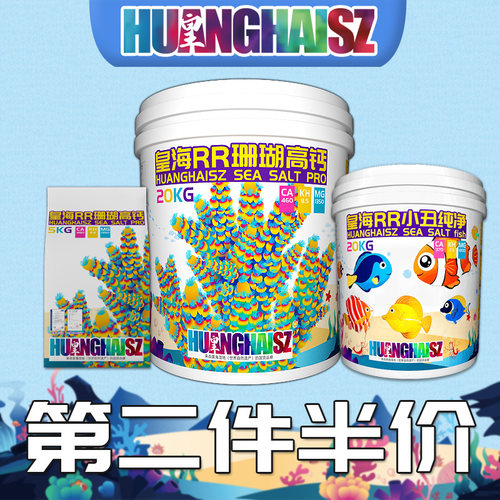皇海珊瑚盐小丑硬骨高钙海水鱼缸