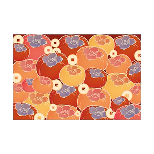 新年入户门地垫进门门口脚垫喜庆家用玄关门口防滑耐脏地毯垫子