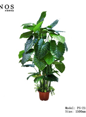 假绿植万年青仿真植物客厅室内落地花大盆栽景干花装饰树摆件假花