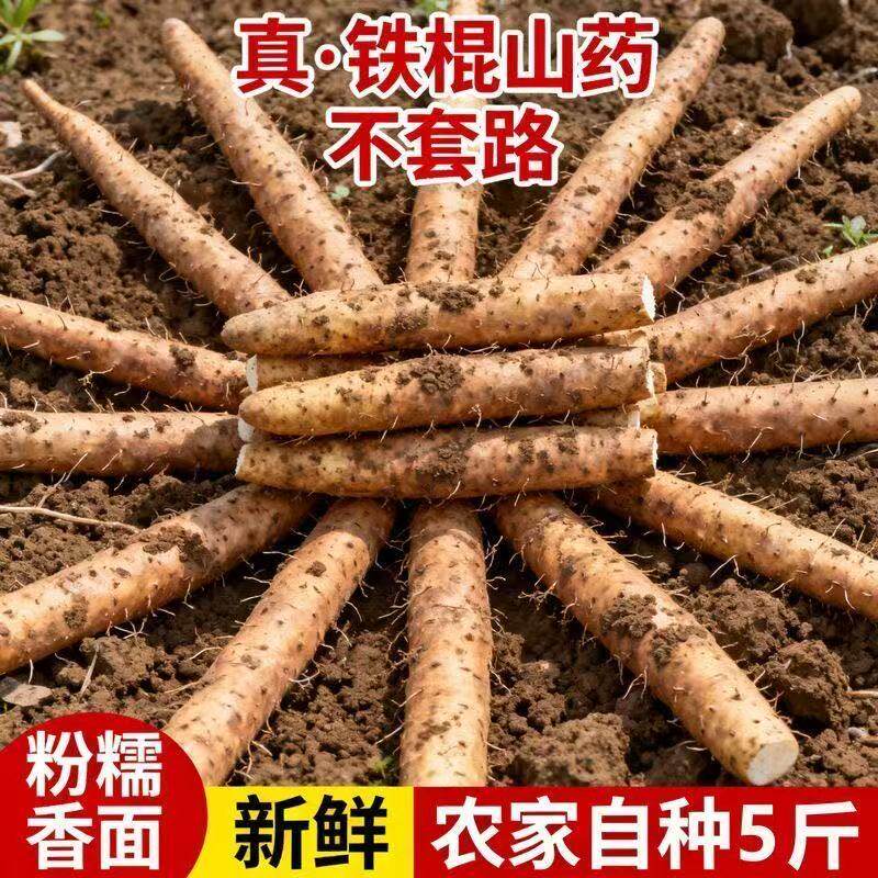 正宗温县垆土铁棍山药新鲜5斤
