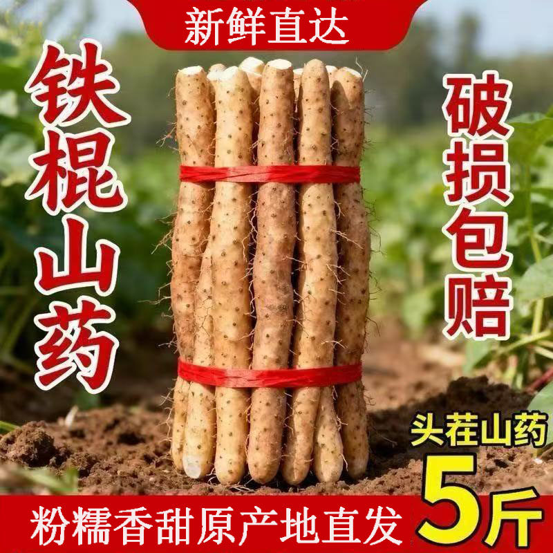 铁棍山药新鲜正宗河南焦作温县垆土5斤蔬菜铁杆铁棒怀山淮山药