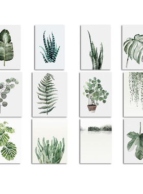 绿色植物小清新风无框画