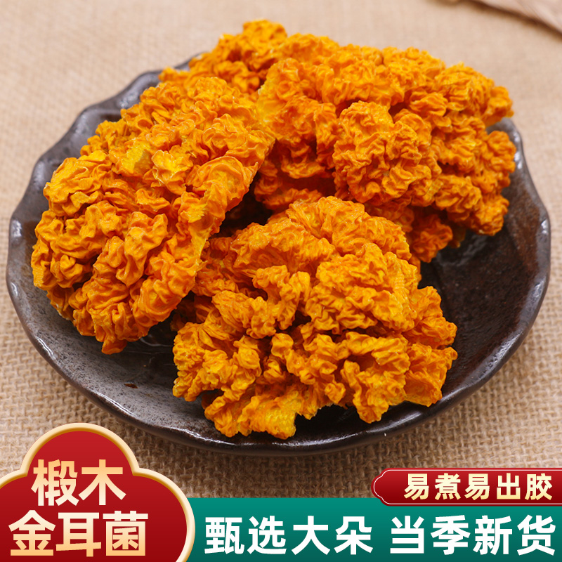 云南金耳菌新鲜菌菇黄耳500g食材