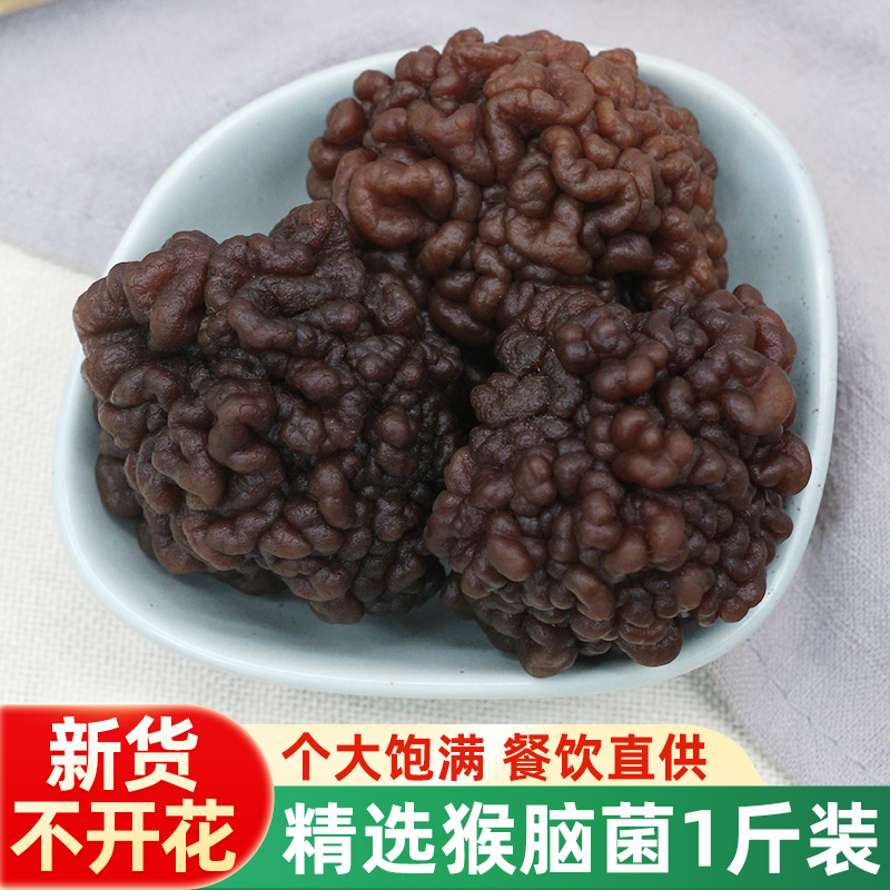 特级猴脑菌干货500g核桃菌海参菇玛卡菌干蘑菇野生菌火锅煲汤食材