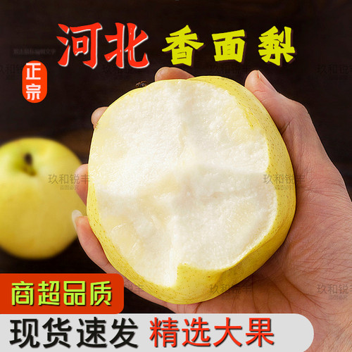 河北正宗香面梨子淡香酸甜多汁薄皮当季新鲜稀少罕见水果整箱酥梨