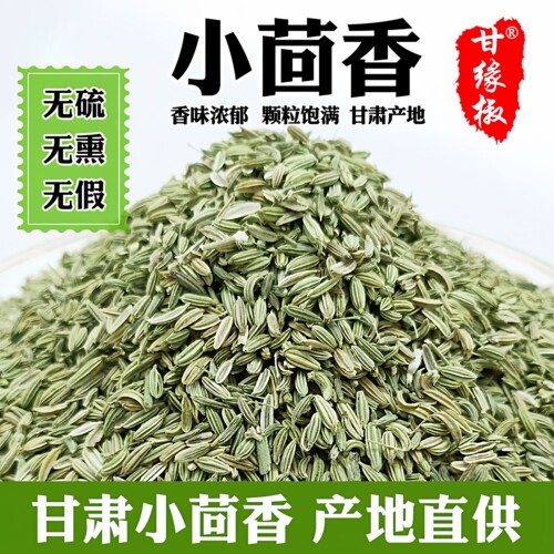 甘肃小茴香农家自产茴香