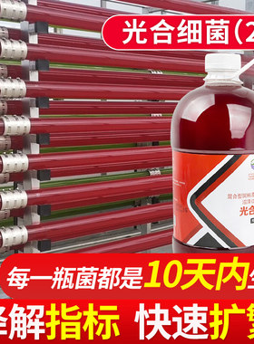 鱼缸专用光合细菌原液降PH氨氮