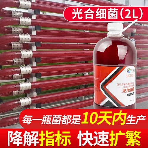 鱼缸专用光合细菌原液降PH氨氮