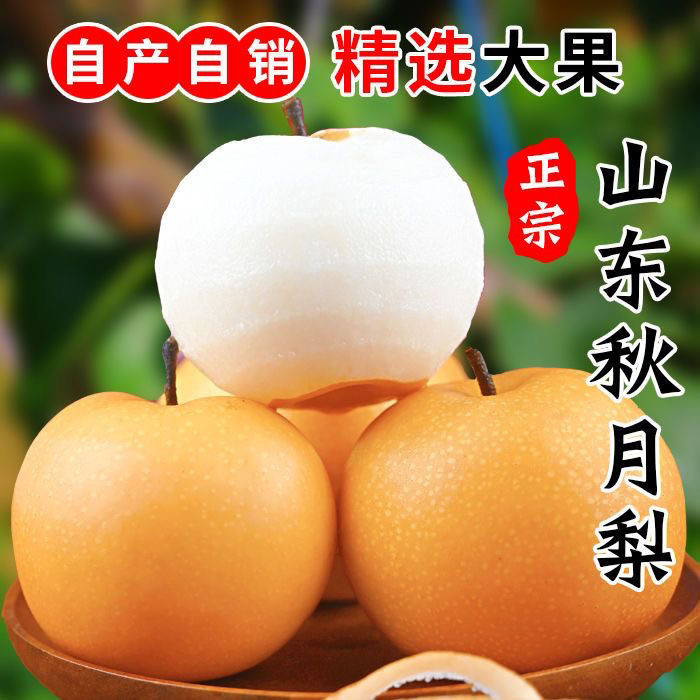 山东莱阳秋月梨2斤5斤10斤包邮新鲜水果梨子脆梨当季现摘黄皮甜梨