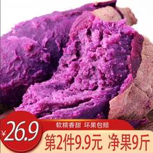 现挖紫薯5斤新鲜沙地番薯农家地瓜香红薯紫山芋 第二件9.9元